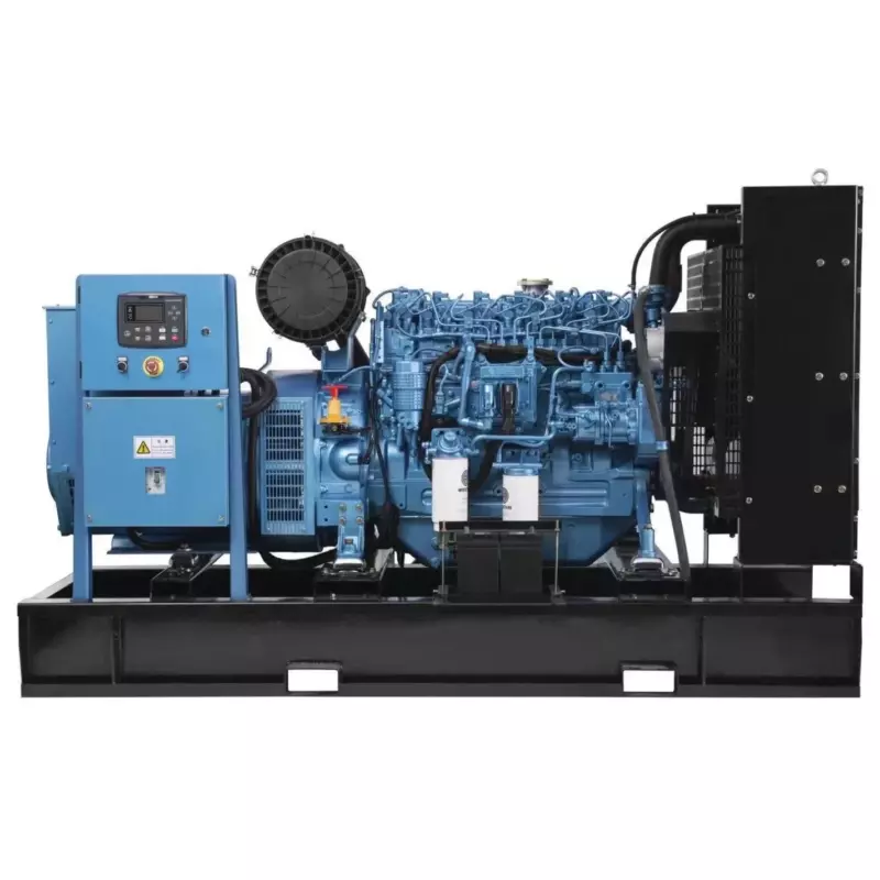 Дизельный генератор Leroy Somer GMP 253WA